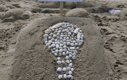 Cộng đồng khởi nghiệp sinh viên Duy Tân đoạt giải trong cuộc thi " Xây tượng cát trên bãi biển "