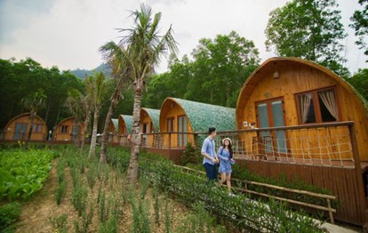 Tất tần tật các câu hỏi về farmstay: Farmstay là gì, khác gì Homestay? Vì sao nên kinh doanh farmstay tại Việt Nam?